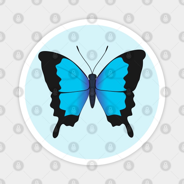 Ulysses butterfly Magnet by Nutmegfairy